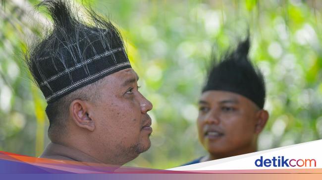 kop ekor terpercaya