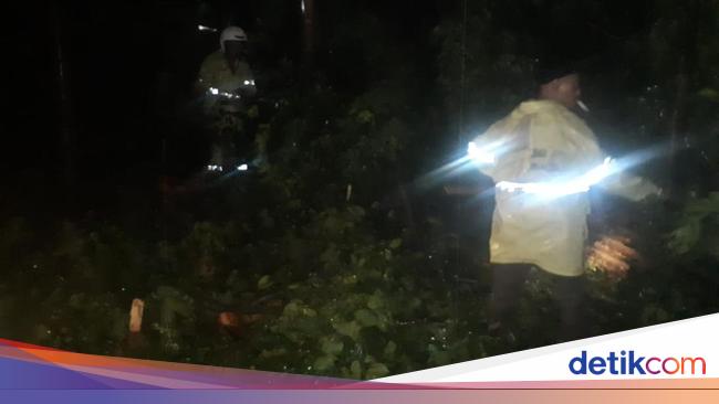 Jakarta Washed By Rain, Several Trees and Billboards Uprooted