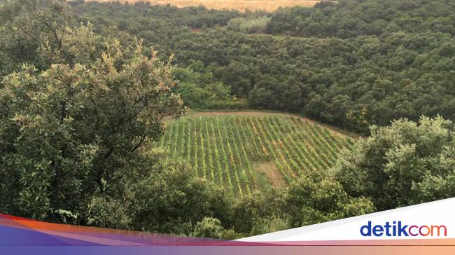 Cratère de météorite découvert sous un vignoble