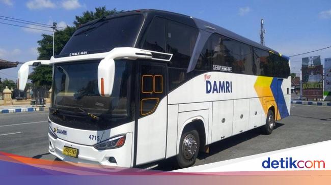 Lengkap! Daftar Tarif dan Jadwal Baru Bus DAMRI Bandara Soekarno-Hatta