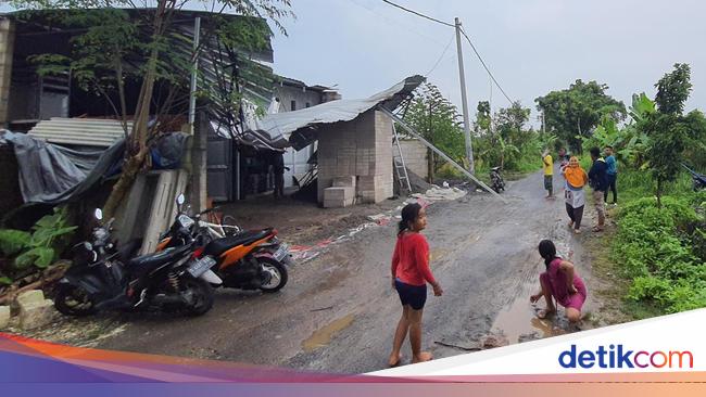 Angin Kencang Tumbangkan Pohon Di Kota Mojokerto Warga Azan Lempar Garam