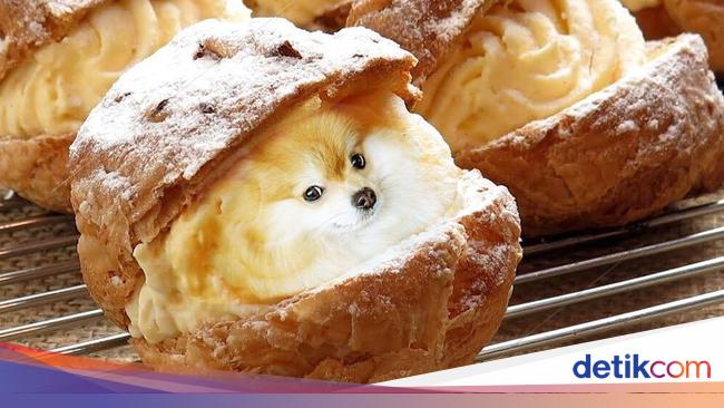 Ini 10 Potret Makanan dengan 'Puppies' yang Imut dan Menggemaskan