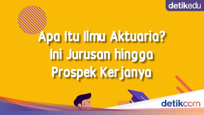 Infografis Apa Itu Ilmu Aktuaria Ini Jurusan Hingga Prospek Kerjanya