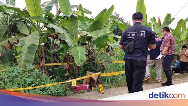 Tkp Penemuan Mayat Mutilasi Di Tenjo Jalur Penghubung Bogor Tangerang