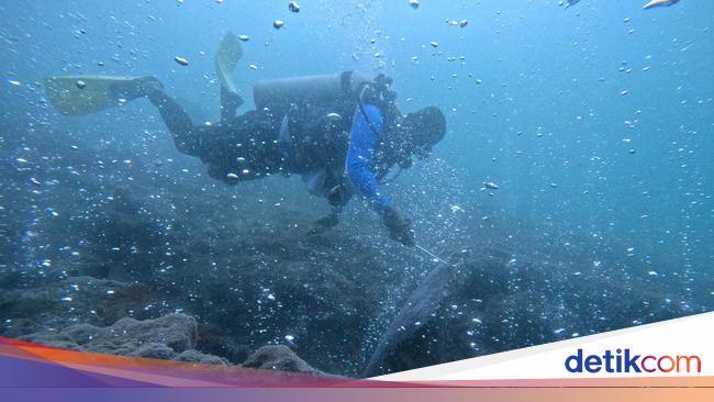 Potret Gunung Api Bawah Laut di Aceh yang Jadi Idola Penyelam