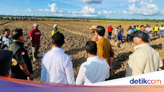 Prabowo Lanjutkan Proyek Food Estate!