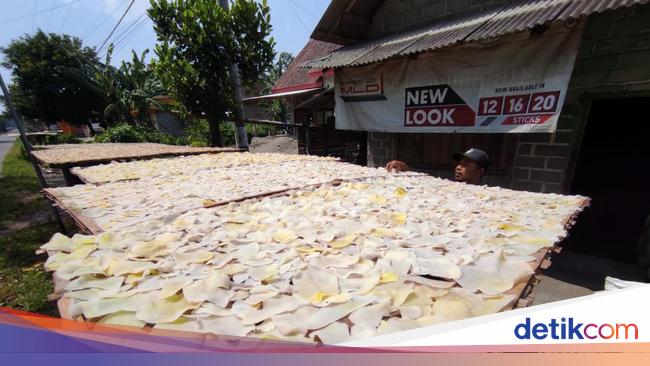 Mengenal Pentingnya Literasi Keuangan untuk Meningkatkan Kualitas UMKM