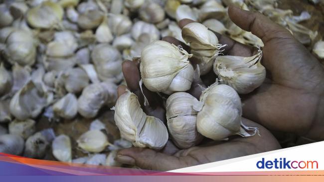 Indonesia’s Garlic Production Shortfall: Imports Solving Domestic Demand