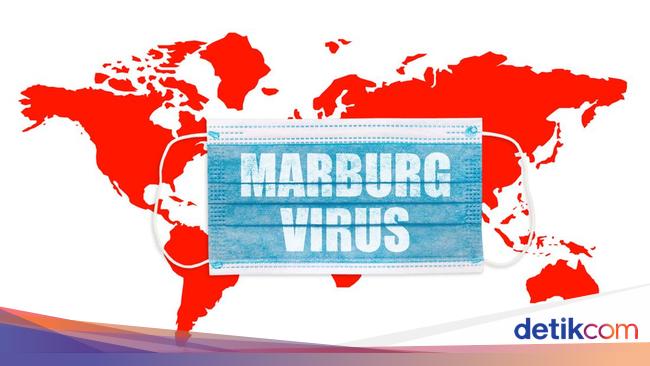 Equatorial Guinea Records Thirteen Cases of Marburg Virus Uptick