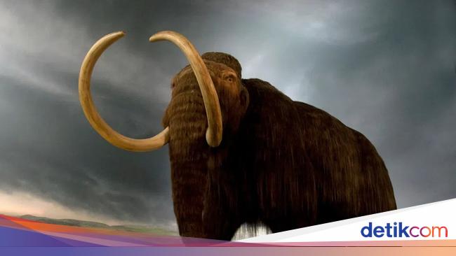 Hewan-hewan Raksasa Punah Tak Berdaya Diburu Manusia