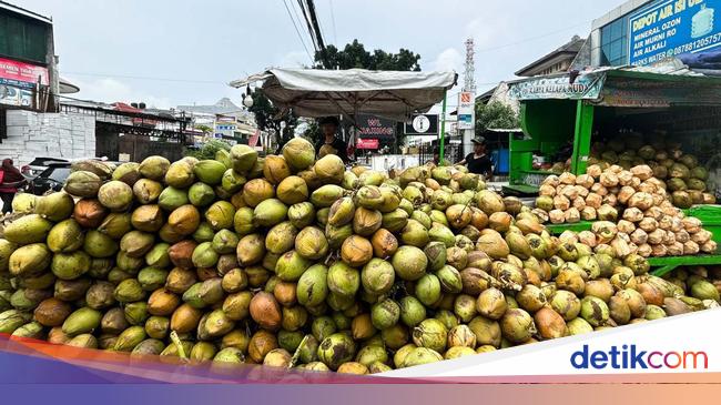 Bappenas Ungkap RI Punya Potensi Komoditas Raksasa tapi Masih 'Tertidur'