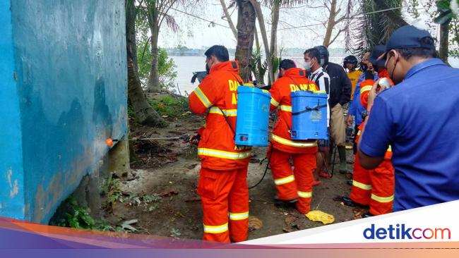 Warga Banyakan membersihkan ulat bulu yang jatuh dari pohon mangga