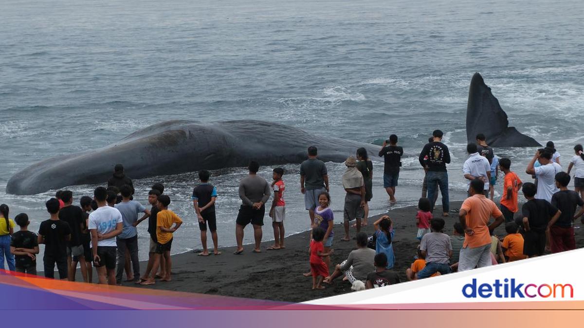 Qizil sochli chuqur tomoq porno Qorinlari ustida oyoqlari bilan yotgan yalangoch jojalar suratga tarqalmoqda