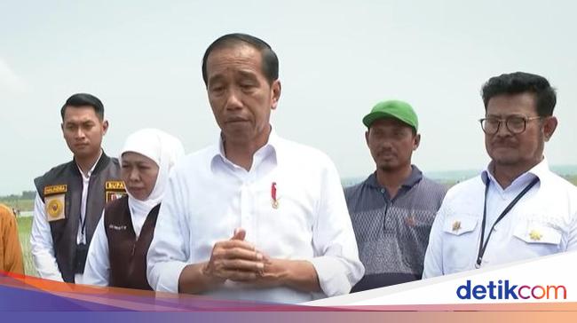 Jokowi Buka Bukaan Alasan Impor Beras 2 Juta Ton