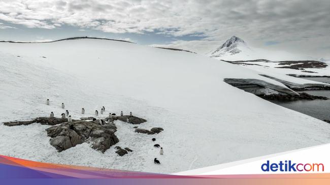 Discovering the Ancient Landscape of East Antarctica: Rivers and Landmasses Unearthed