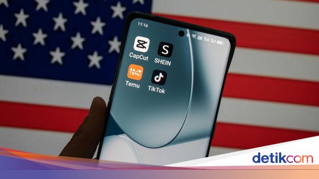 Aplikasi Temu Dipastikan Tak Bakal Masuk RI
