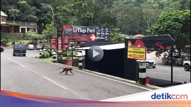 Video Jalur Wisata Kaliurang Sepi Di Hari Pertama Lebaran