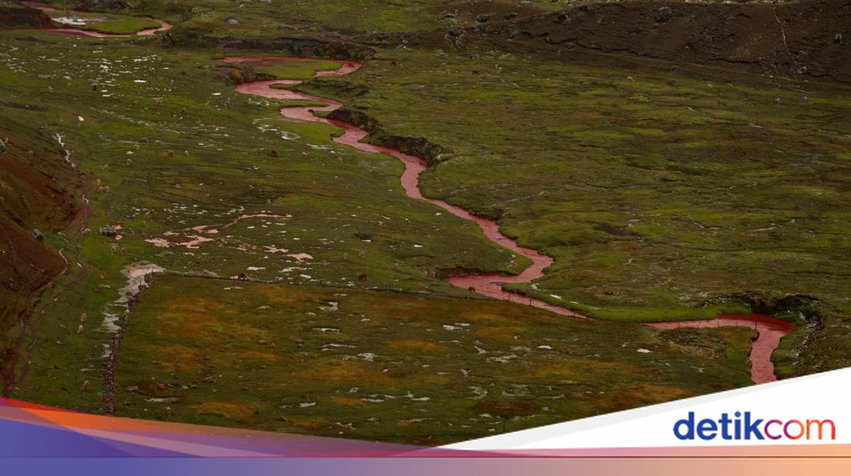 Sg Merah Api Ada Fenomena Alam Tak Biasa di Peru, Sungai yang Airnya Merah