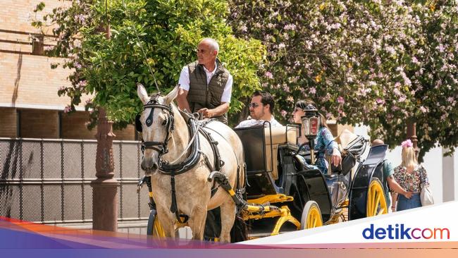 “Animal Abuse Investigation: Seville Horse Carriage Tourist Industry Under Scrutiny Amidst Heat Wave”