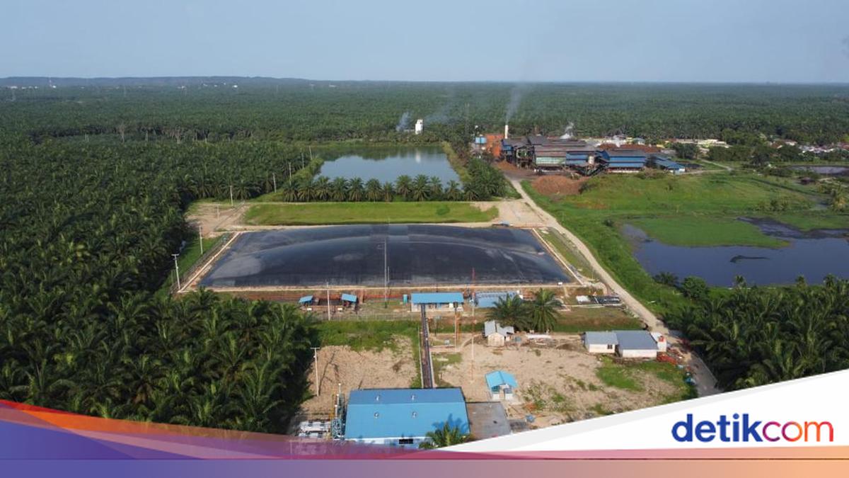 Pembangkit Biogas Riau Resmi Beroperasi, Ubah Limbah Sawit Jadi EBT