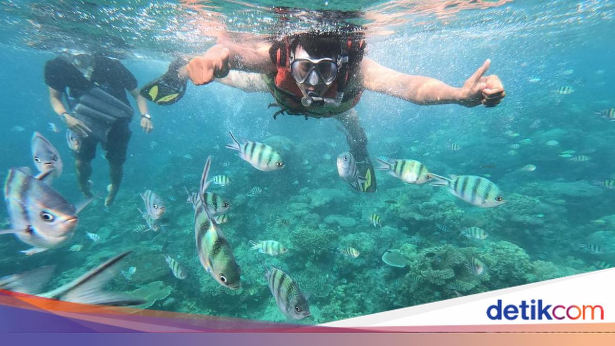 Harga Tiket ke Karimunjawa, Rute, Lokasi, dan Daya Tariknya