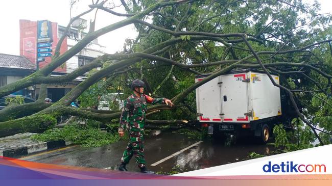 Pohon Tumbang Timpa Mobil Boks Di Bandung 2906