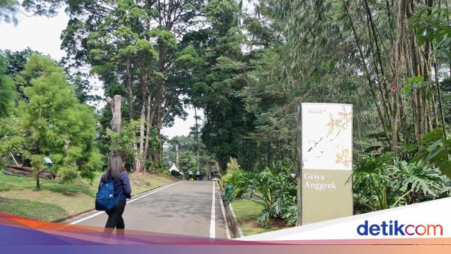 5 Wisata Alam yang Lebih Sepi dan Murah Dibandingkan Puncak