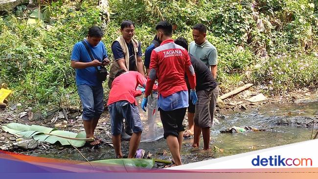 5 Potongan Tubuh Manusia Di Sukoharjo Solo Diduga Terbawa Arus Sungai