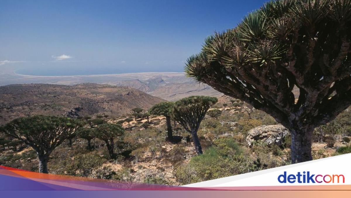 Begini Kondisi 3 WNI Terjebak di 'Persembunyian Dajjal' Saat Saudi Serang Yaman