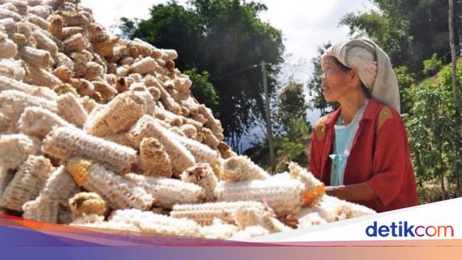 Makin Banyak Negara Terapkan Larangan Ekspor Pangan