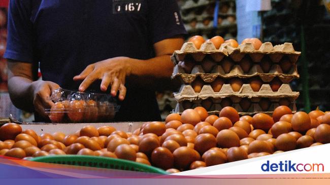 Price of Chicken Eggs in Jakarta and Beyond: Why the Cost is Rising