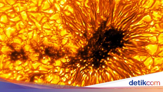 “New Images of the Sun Revealed by World’s Largest Solar Telescope”