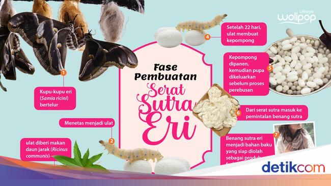 Fase Pembuatan Serat Sutra Eri untuk Tenun-Batik