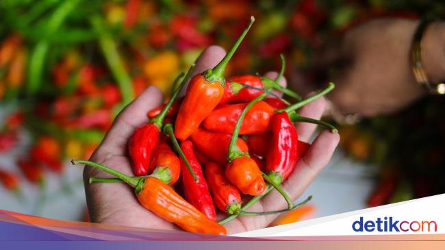 4 Fakta Cabe Rawit Domba yang Ternyata dari Kota Tertua di Amerika