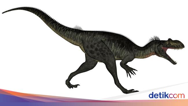 Thought-about just like a crocodile, it’s the first dinosaur to confound paleontologists