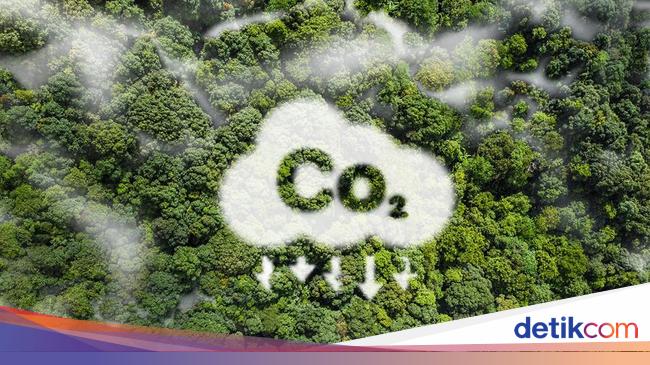 Pengguna Jasa IDXCarbon Didominasi Swasta di Sektor Pertambangan