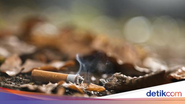 Kemenkes RI Sebut RPP Rokok Segera Disahkan, Apa Sih Isinya?