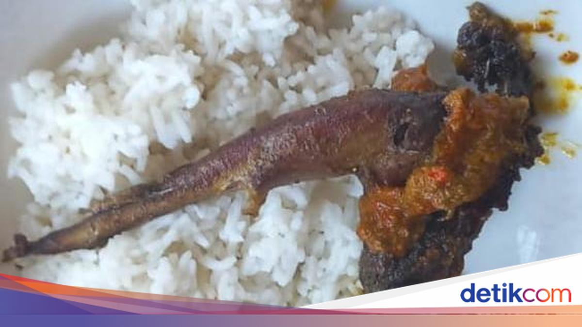 Gurih dan Pedas Manuk Kowak Sambal Asam Lamongan