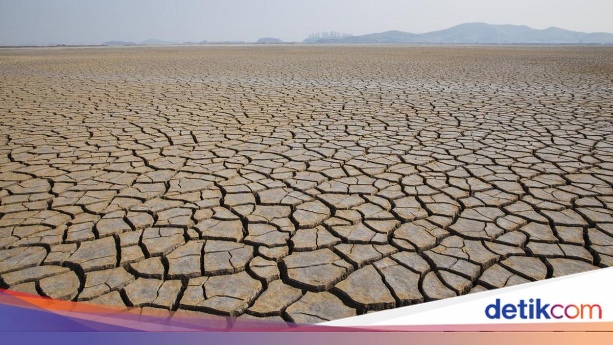 Apa Penyebab Musim Kemarau? Simak Penjelasan dan Dampaknya