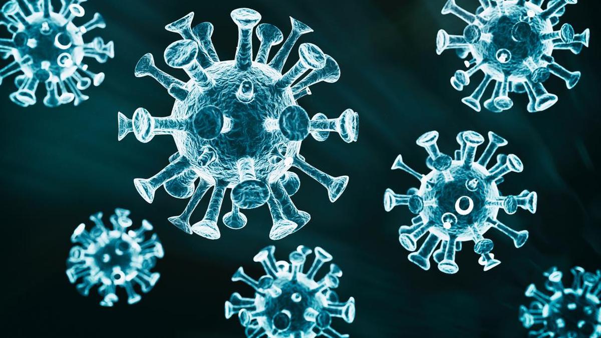 Deretan Virus yang Pernah Mewabah di Indonesia Selama 10 Tahun Terakhir