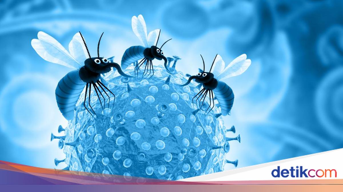 Hari Malaria Sedunia 2026: Tema hingga Pesan Kampanye