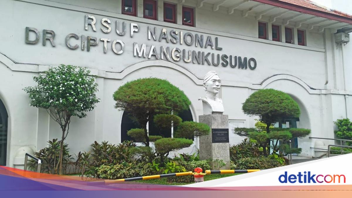 Dibawa ke Jakarta, 2 Korban Keracunan MBG di Karo Sudah Ditangani RSCM