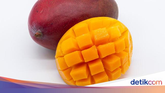 Ini Dia Mangga Termahal di Dunia, Harganya Rp 51 Juta
