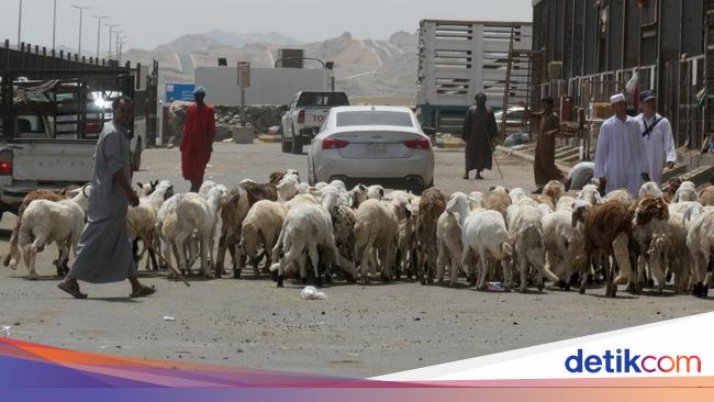 Pasar Kambing Semarang pasar tradisional kambing