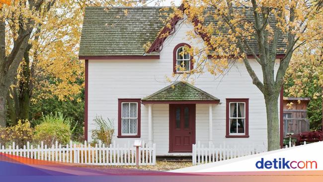 7 Tips Menjaga Halaman Rumah Bersih dan Rapi