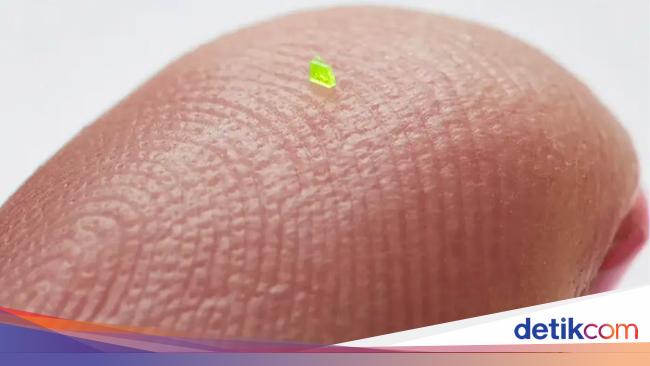 World's Smallest Micro Bag Sells for Record Price at Joopiter Online