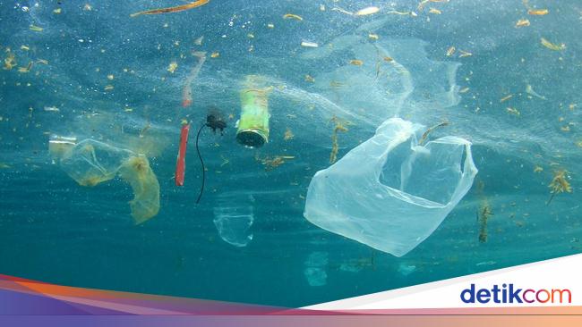 Ilmuwan Temukan Mikroba Pemakan Plastik di Lautan