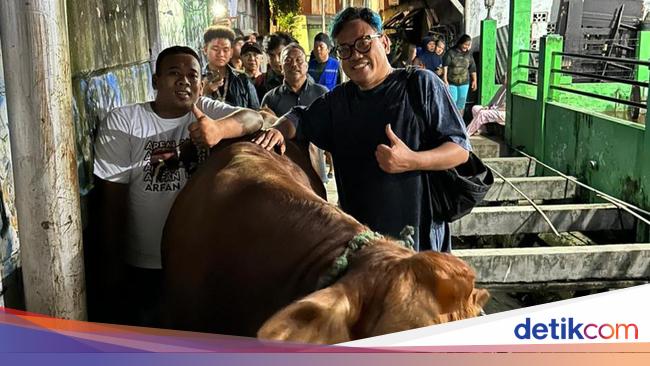 Uya Kuya Borong 3 Sapi Metal dari Kemalang Klaten, Begini Kisahnya