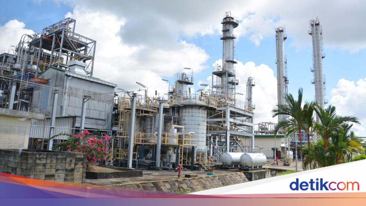 Kembangkan Transisi Energi, Pertamina Dorong Kolaborasi Beberapa Pihak
