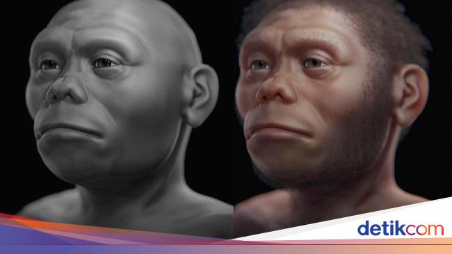Temuan Baru: Manusia Hobbit Flores Diduga Berasal dari Sulawesi